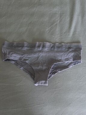 Blue Victoria Secret Cheeky Panties NWT